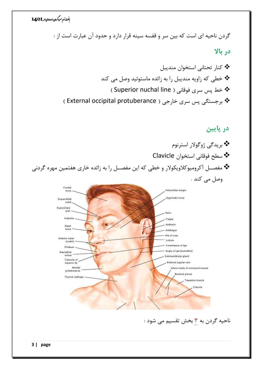 جزوه بافت نرم سر و گردن