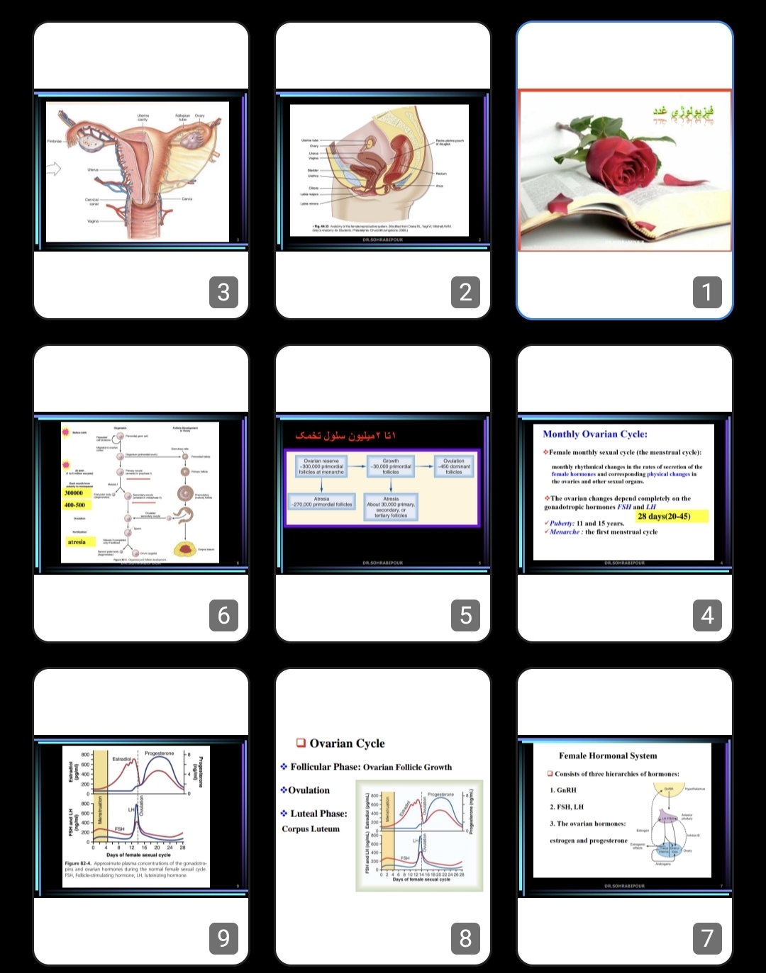 جزوه فیزیولوژی غدد و تولید مثل: غدد جنسی زنانه