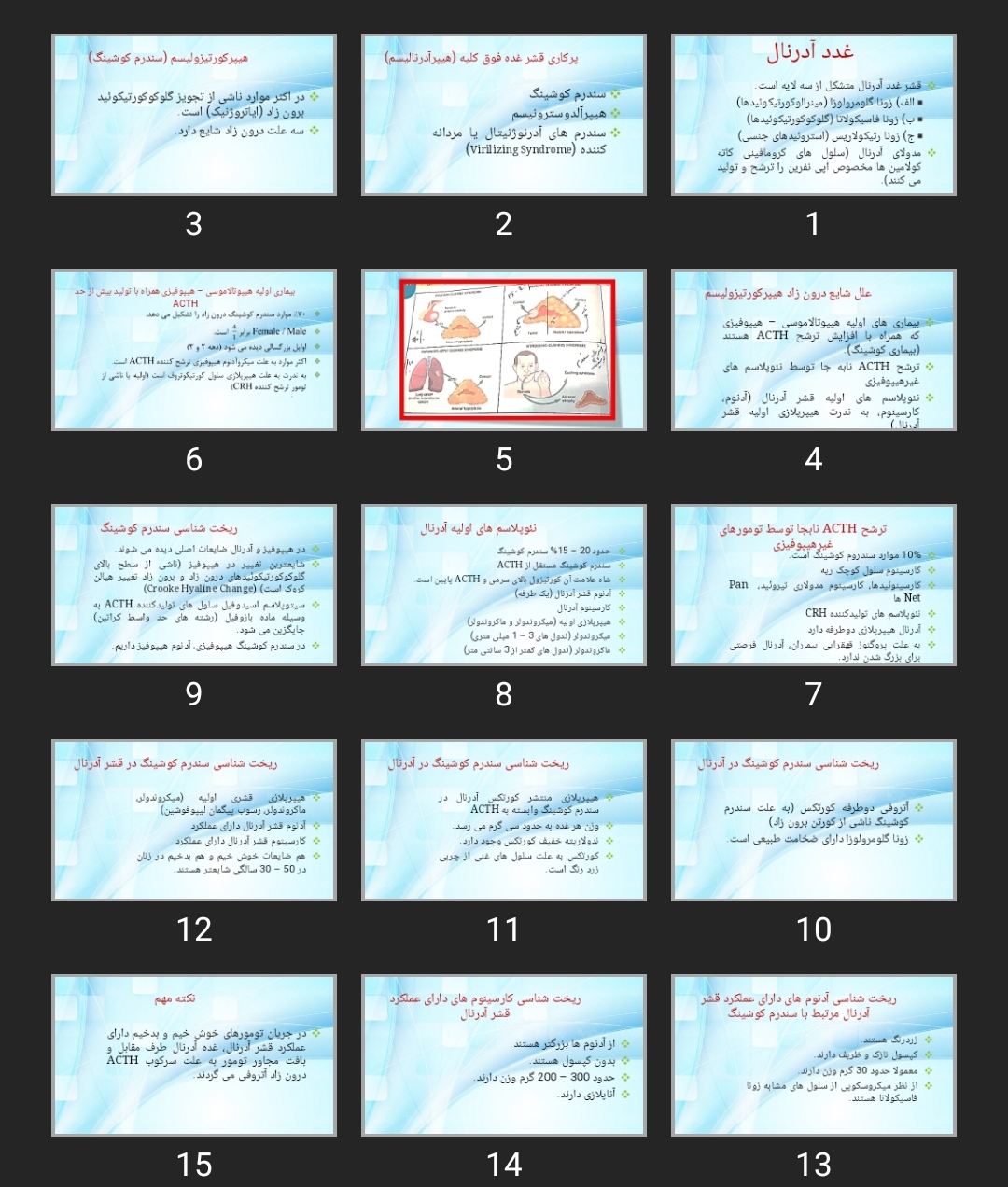 پاورپوینت غدد آدرنال