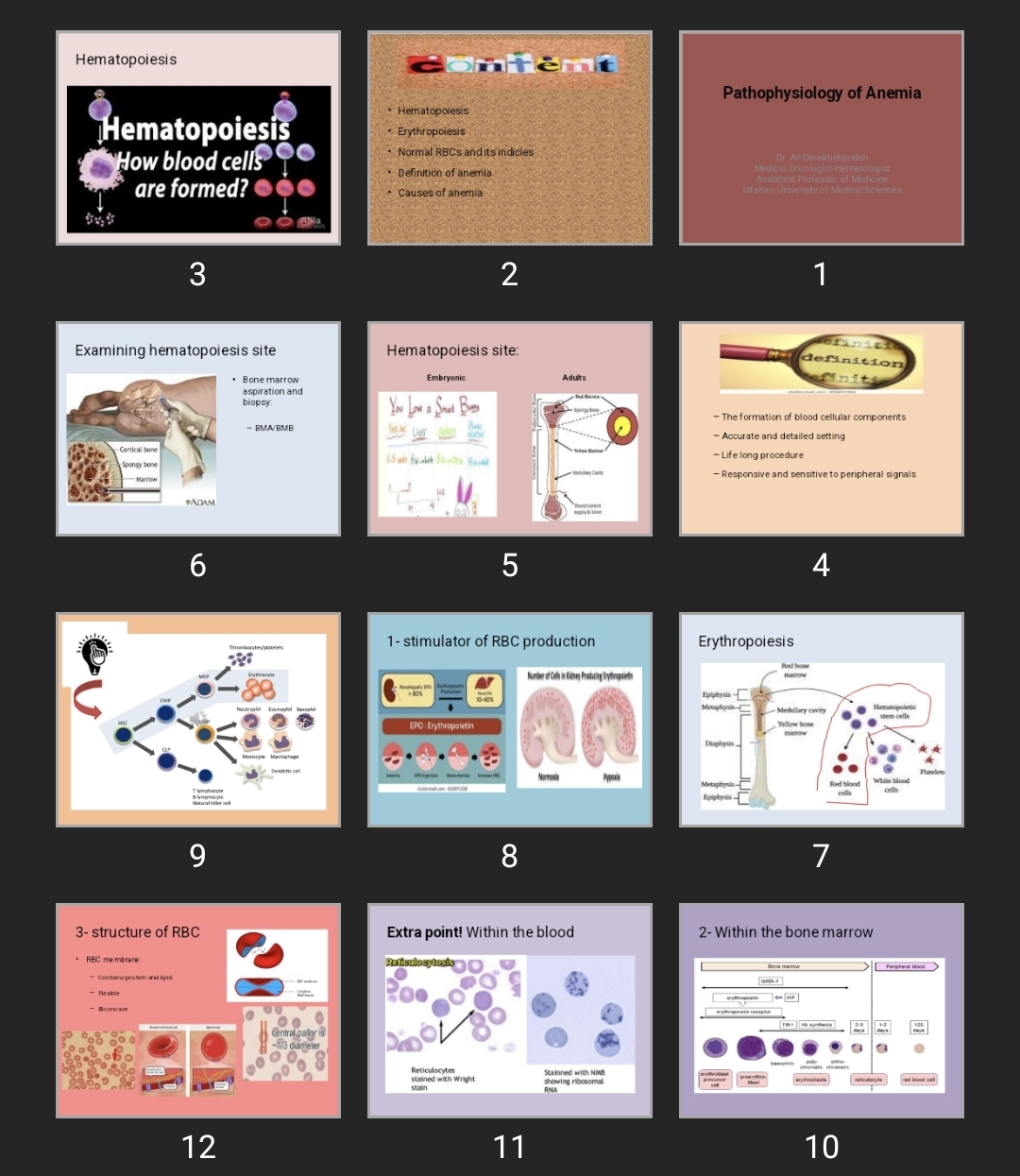 پاورپوینت Pathophysiology of Anemia