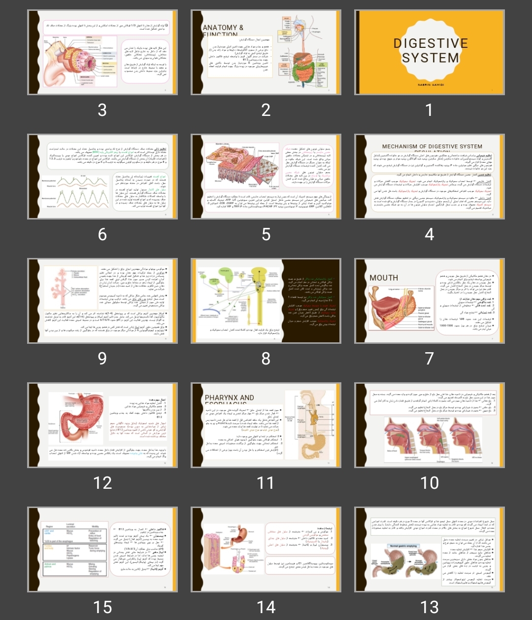 پاورپوینت digestive system