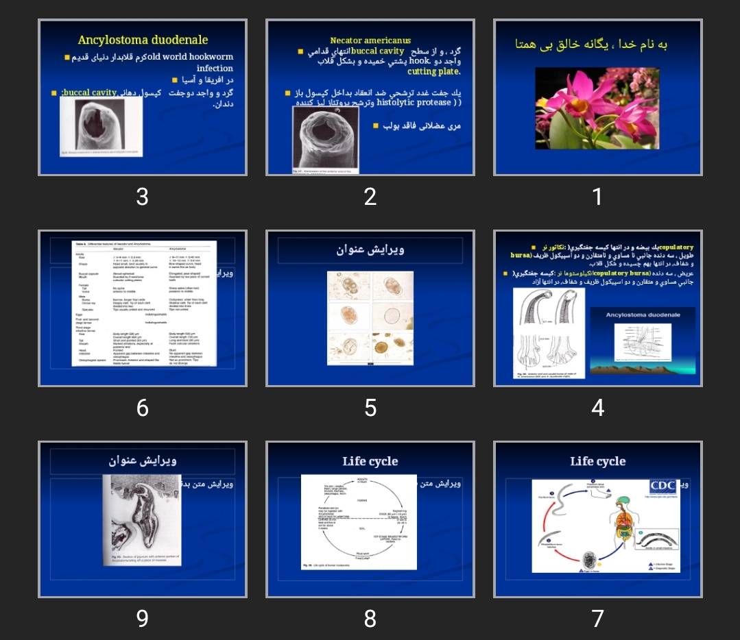 پاورپوینت Hook worm, larve migran stron