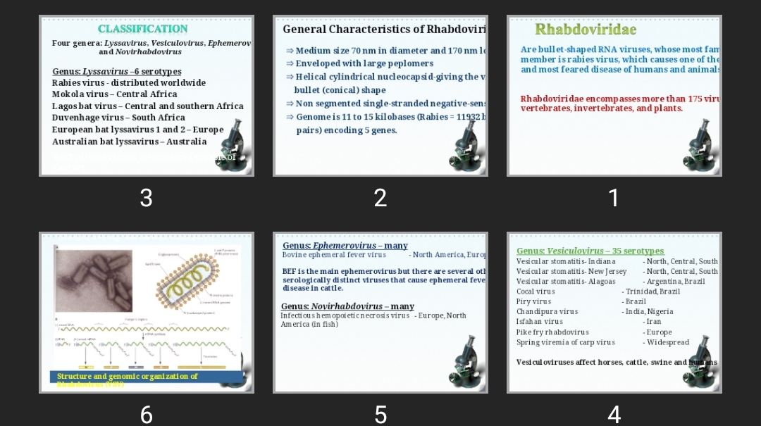 پاورپوینت Rhabdoviridae