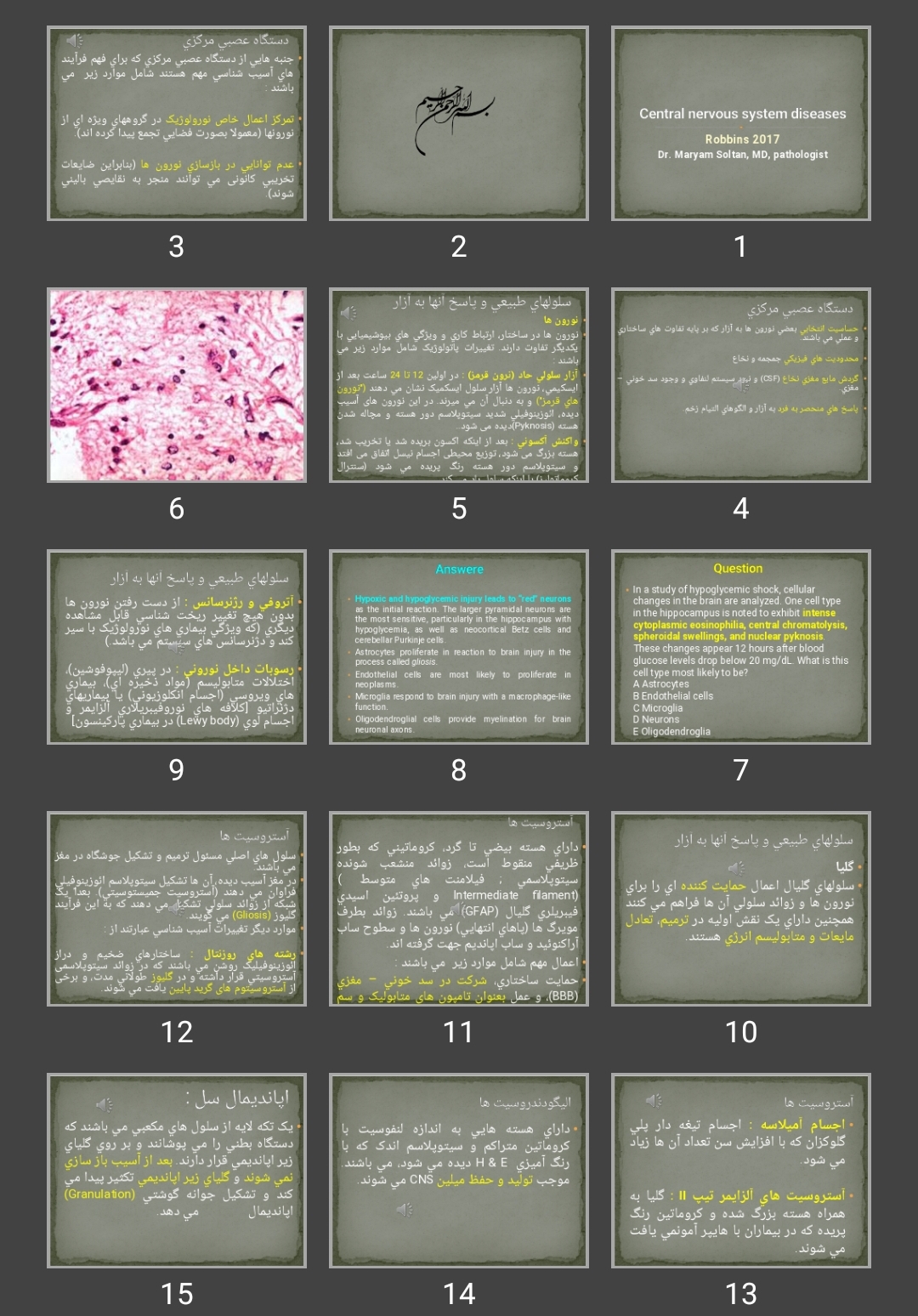 پاورپوینت Central nervous system diseases