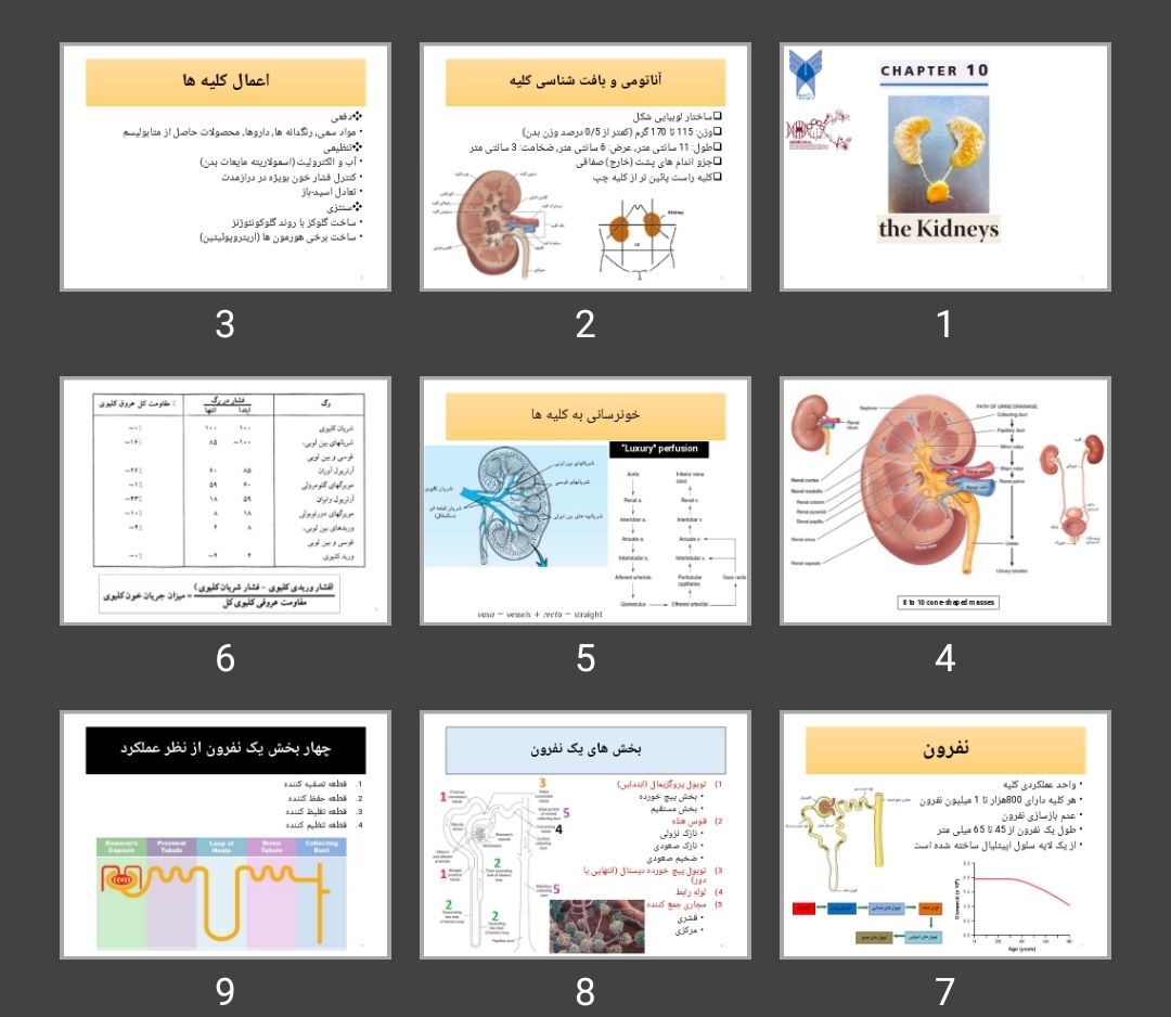 پاورپوینت S-10 Renal