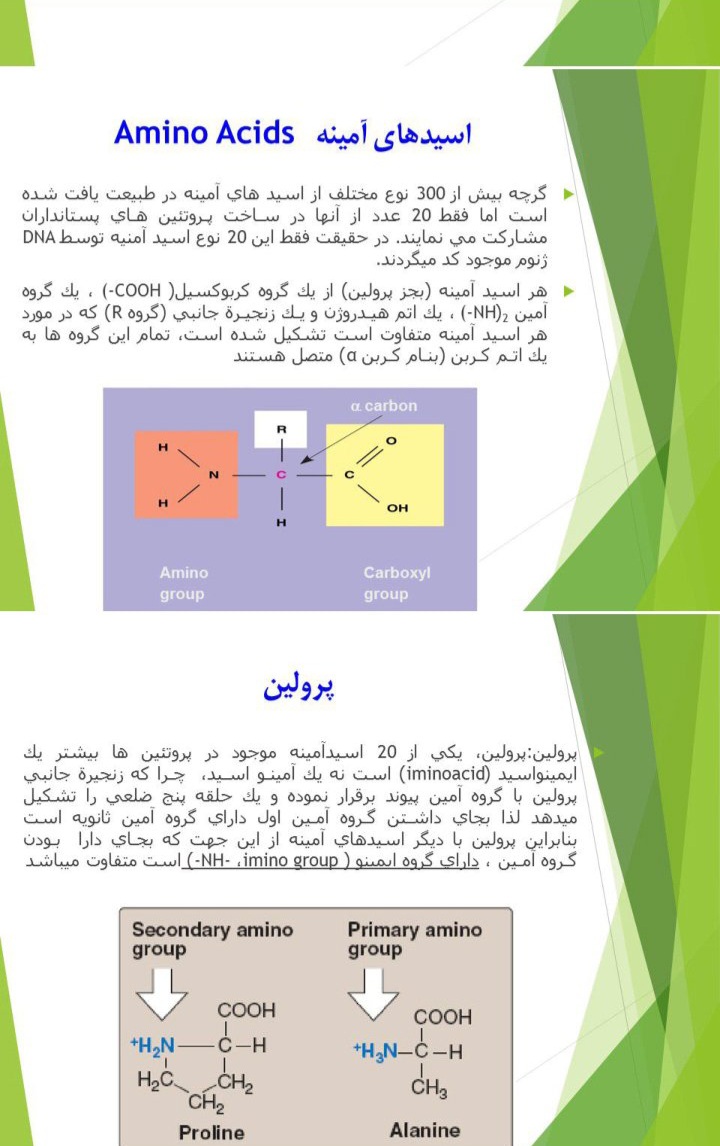 پاورپوینت اسید های آمینه - ۱۹ صفحه