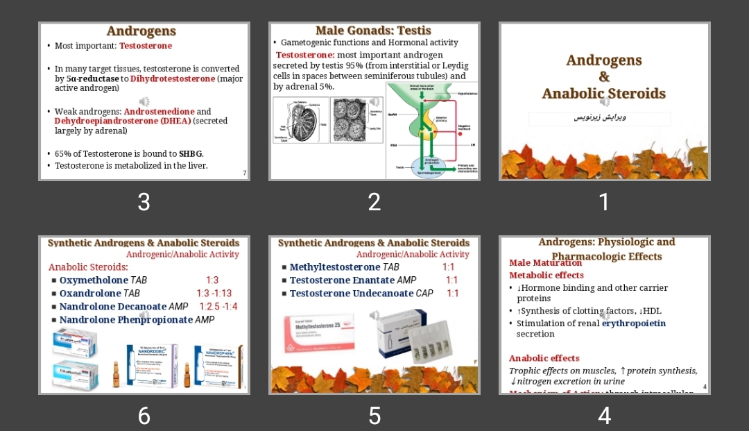 پاورپوینت Androgens & Anabolic Steroids