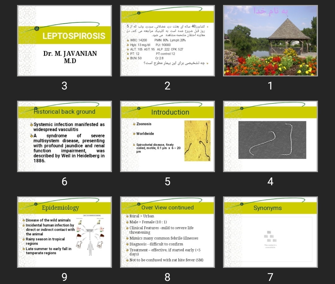 پاورپوینت LEPTOSPIROSIS