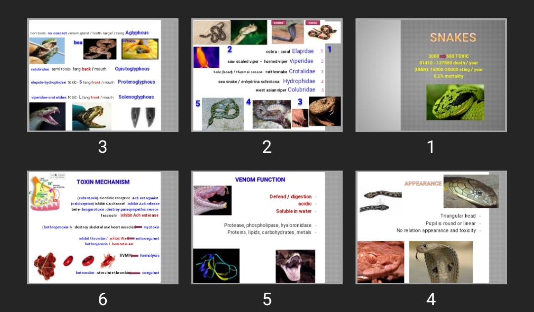 پاورپوینت snakes