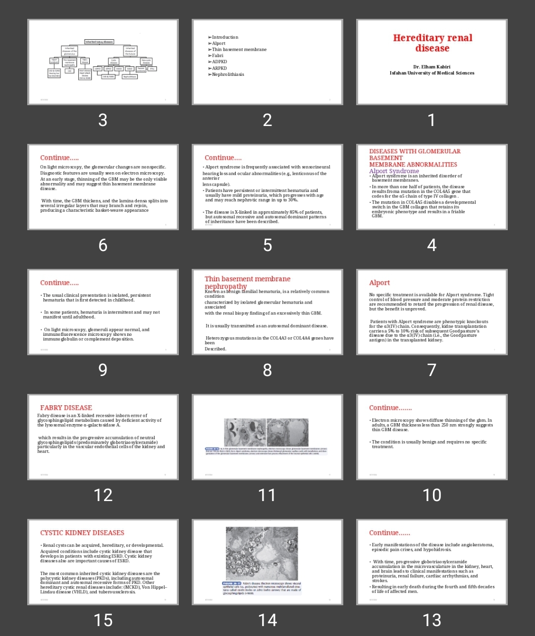 پاورپوینت Hereditary renal disease