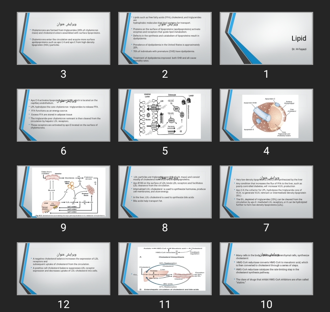 پاورپوینت Lipid
