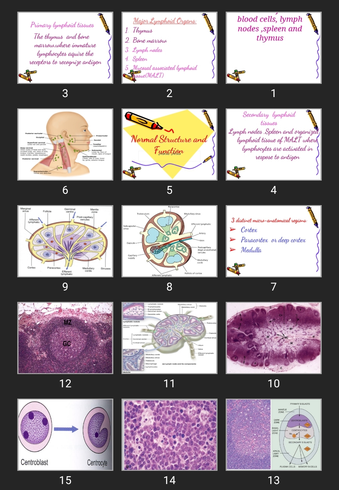 پاورپوینت Diseases of white blood cells, lymph nodes ,spleen and thymus