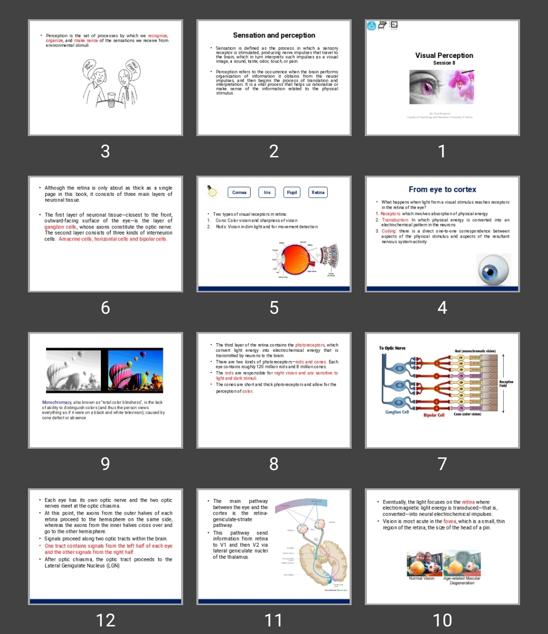 پاورپوینت Visual Perception