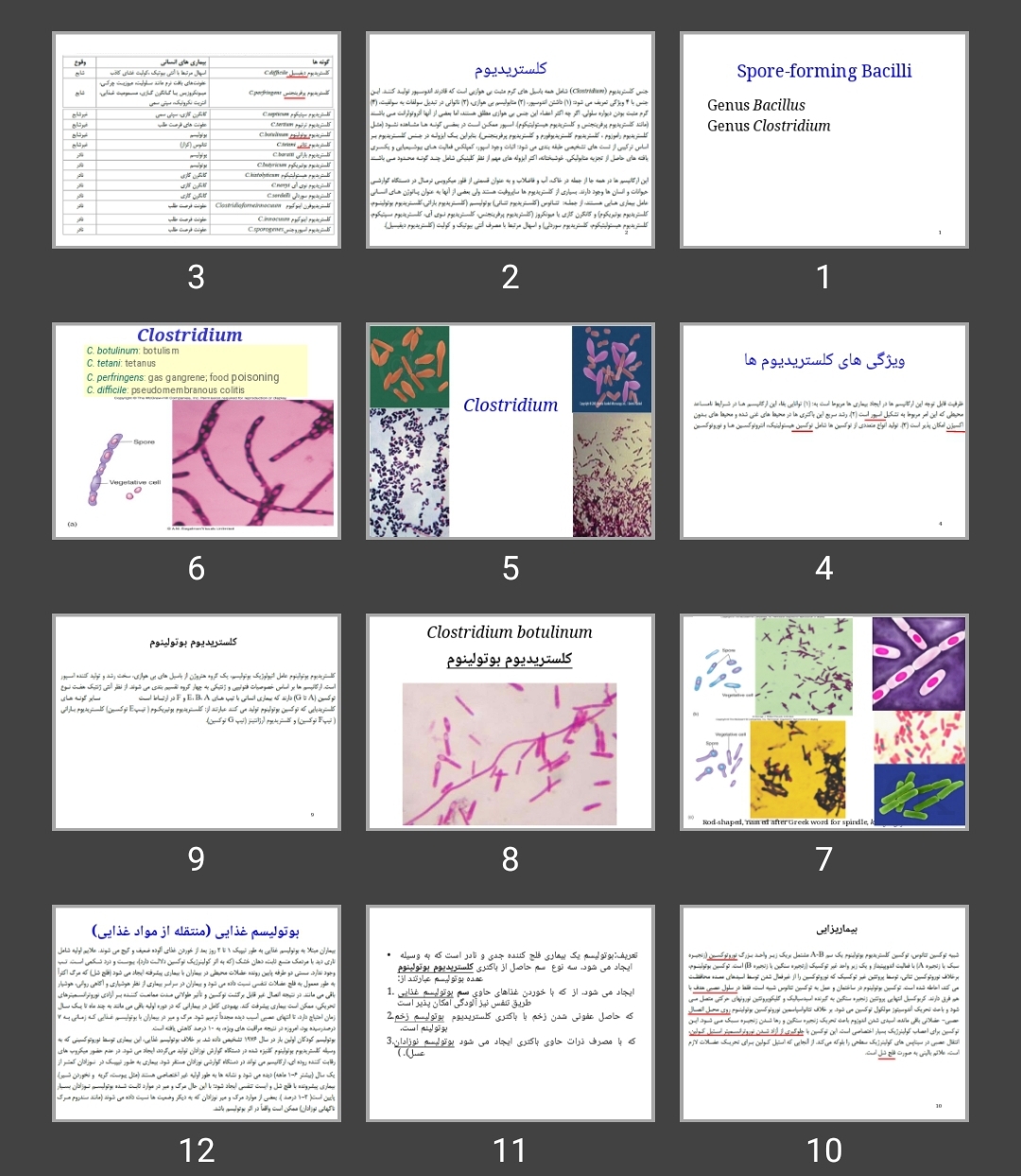 پاورپوینت کلستریدیوم Clostridium