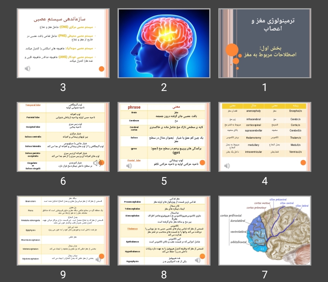 پاورپوینت ترمینولوژی مغز و اعصاب