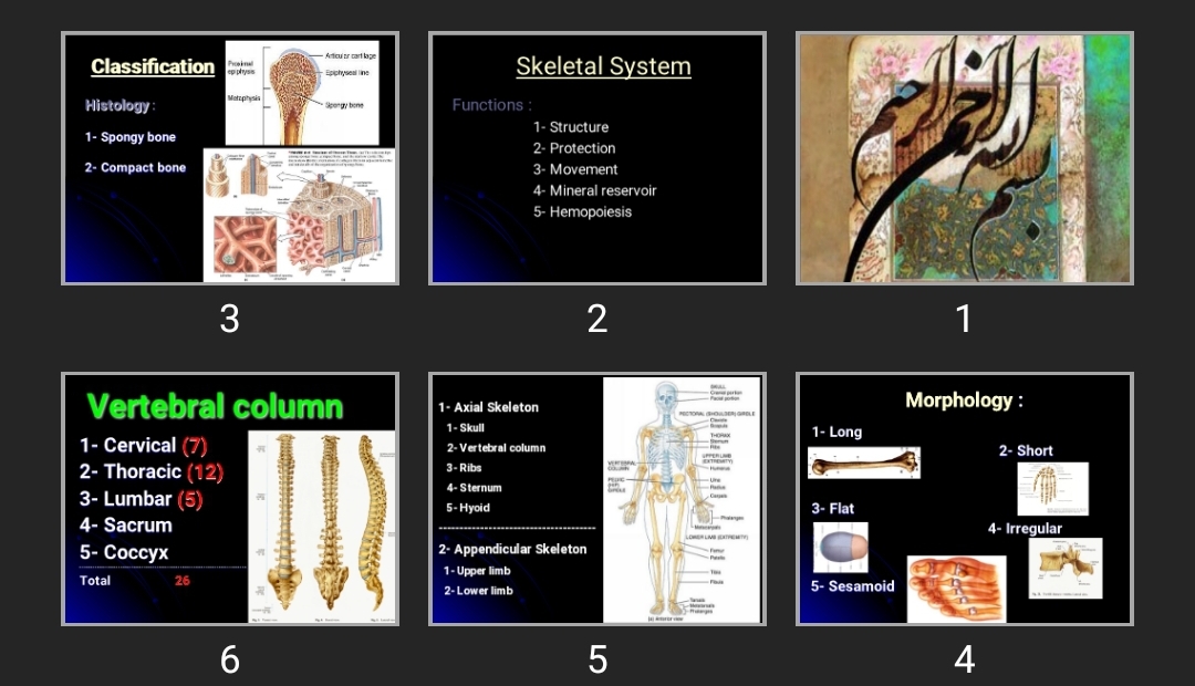 پاورپوینت Chest wall _Bones & cartilages & Joints