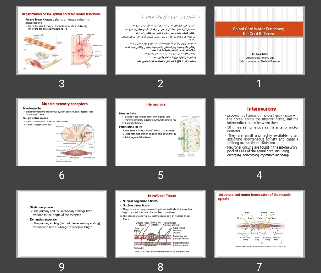 پاورپوینت Spinal Cord Motor Functions; the Cord Reflexes