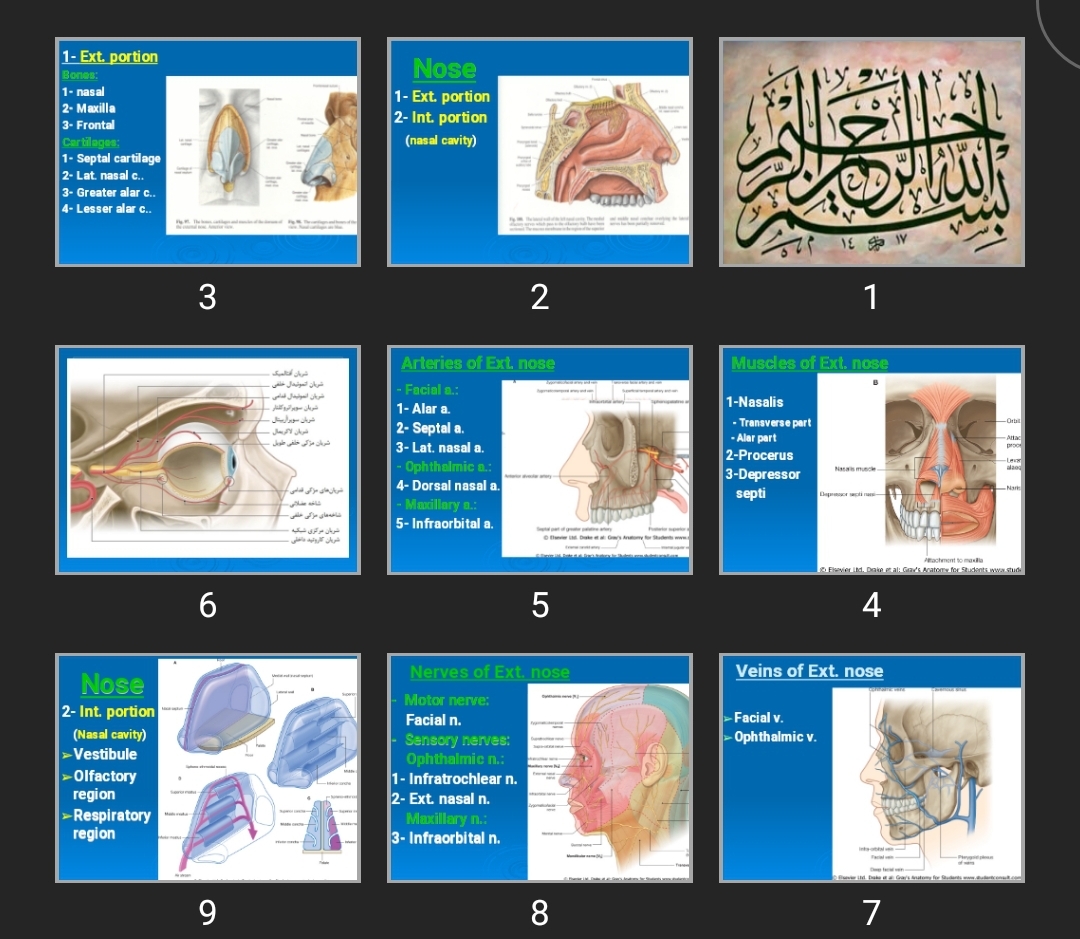 پاورپوینت Nose and Pharynx