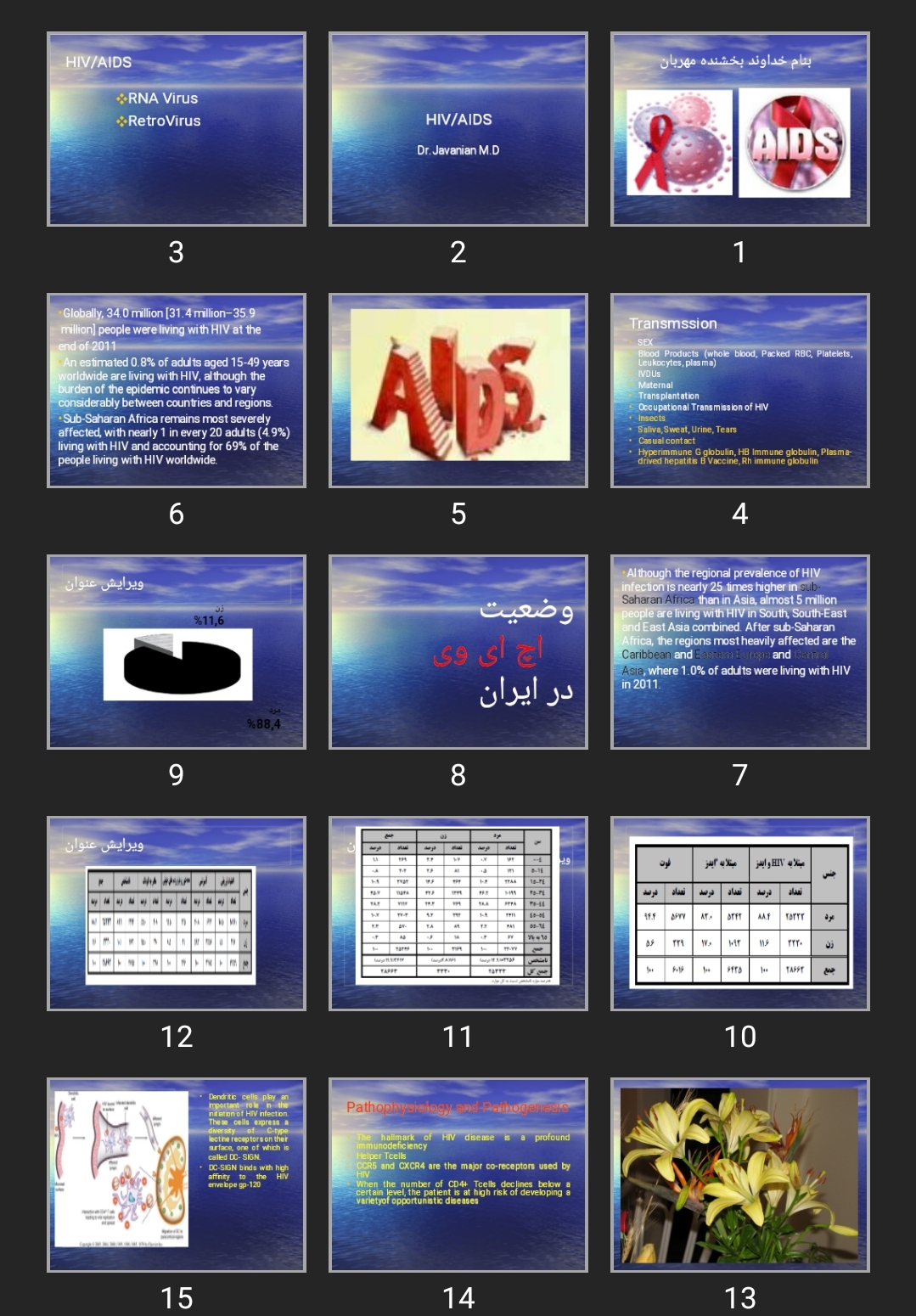 پاورپوینت HIV/AIDS