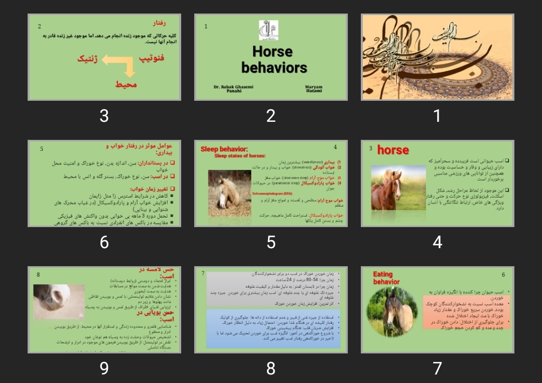 پاورپوینت رفتارشناسی در اسب Horse behaviors