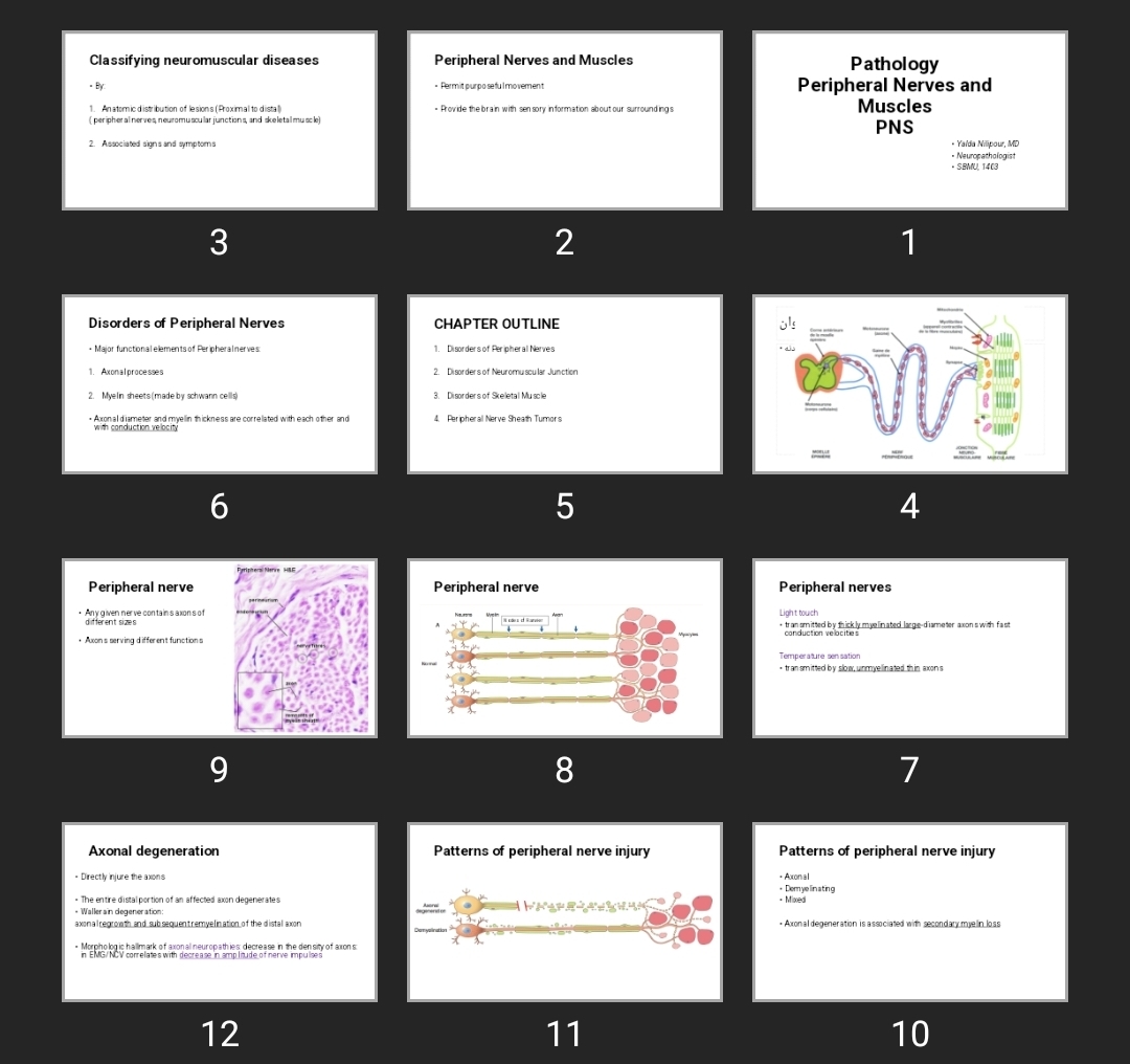 پاورپوینت Pathology Peripheral Nerves and Muscles PNS