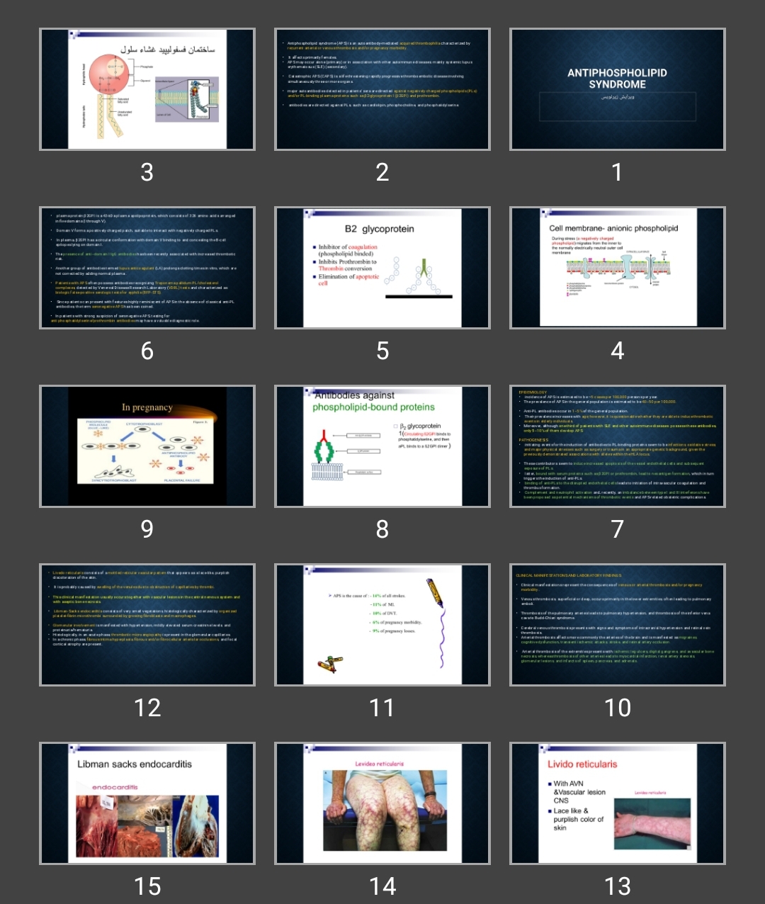 پاورپوینت Antiphospholipid syndrome