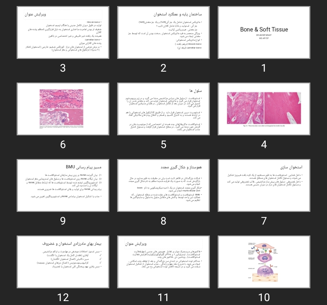 پاورپوینت Bone & Soft Tissue
