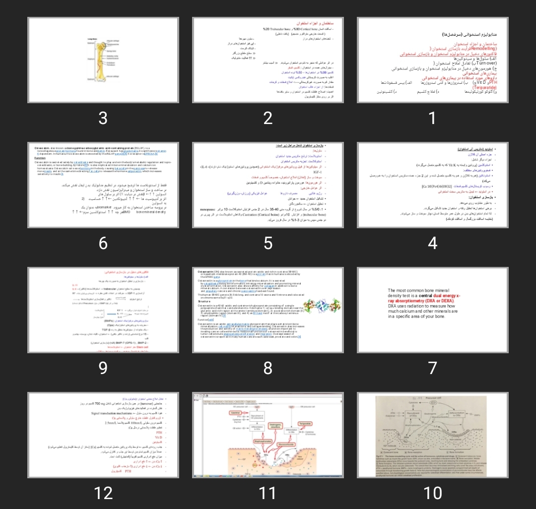 پاورپوینت متابولیزم استخوانی