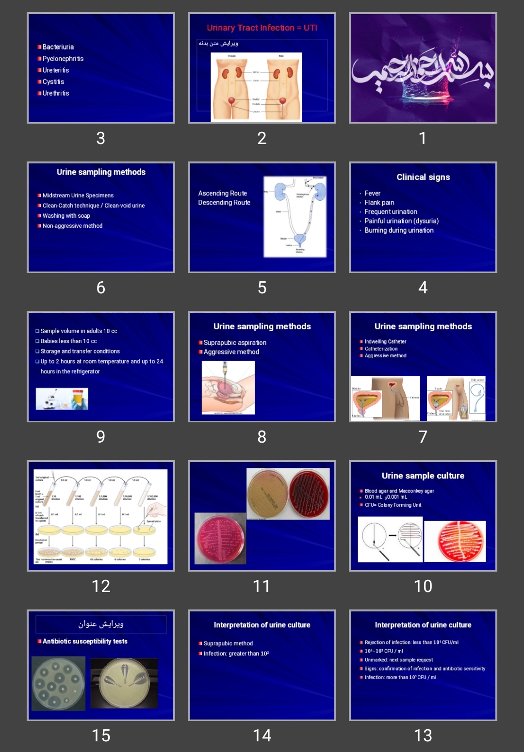 پاورپوینت  Urinary Tract Infection blood culture