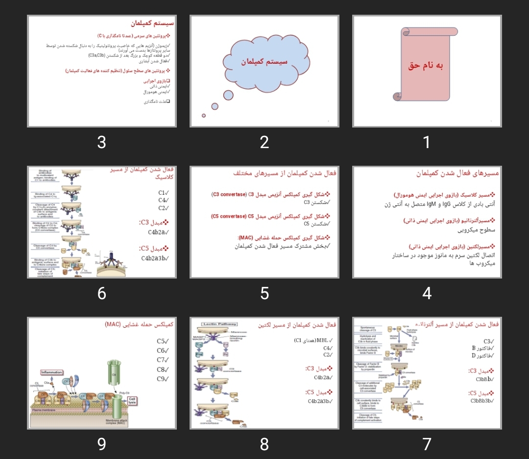 پاورپوینت سیستم کمپلمان