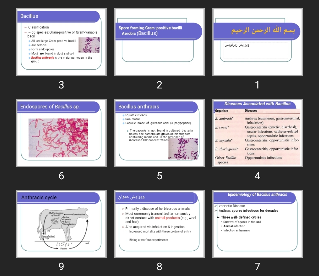 پاورپوینت Spore forming Gram-positive bacilli Aerobic (Bacillus)