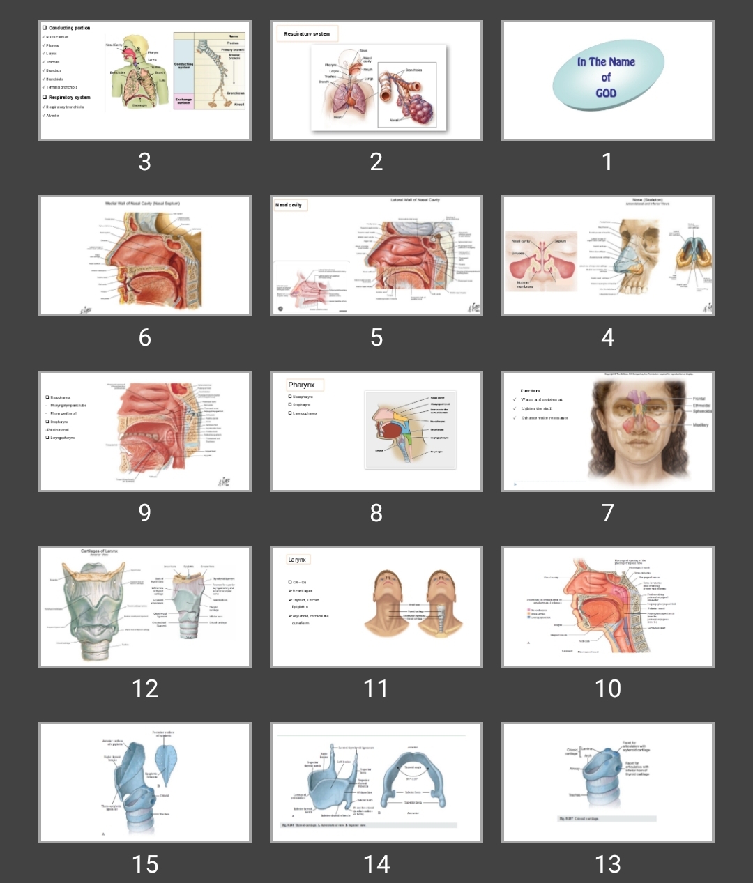 پاورپوینت Respiratory system