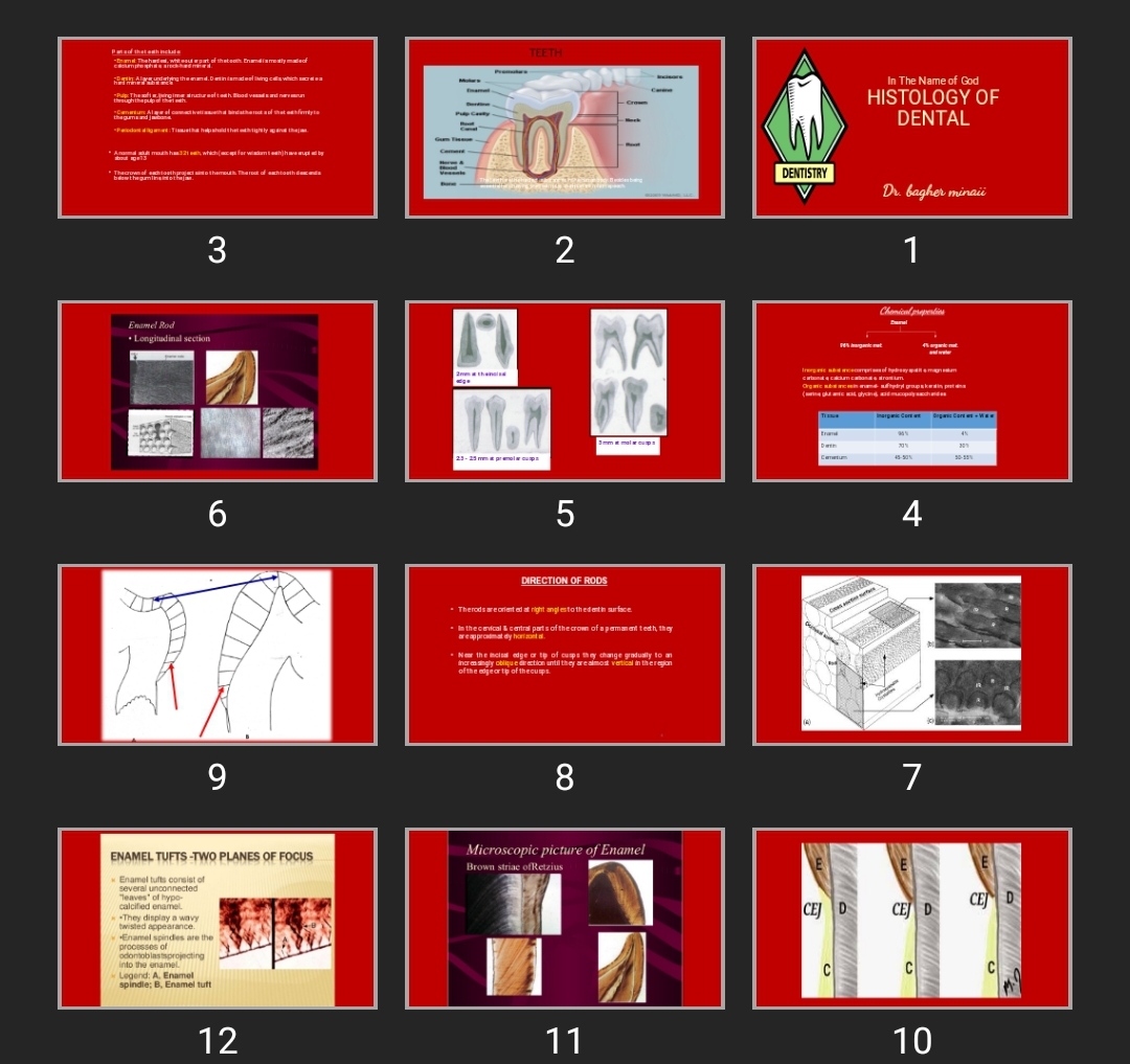 پاورپوینت HISTOLOGY OF DENTAL