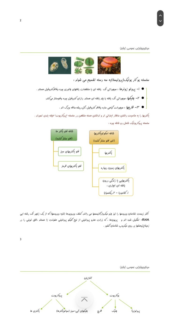 جزوه میکروبیولوژی عمومی