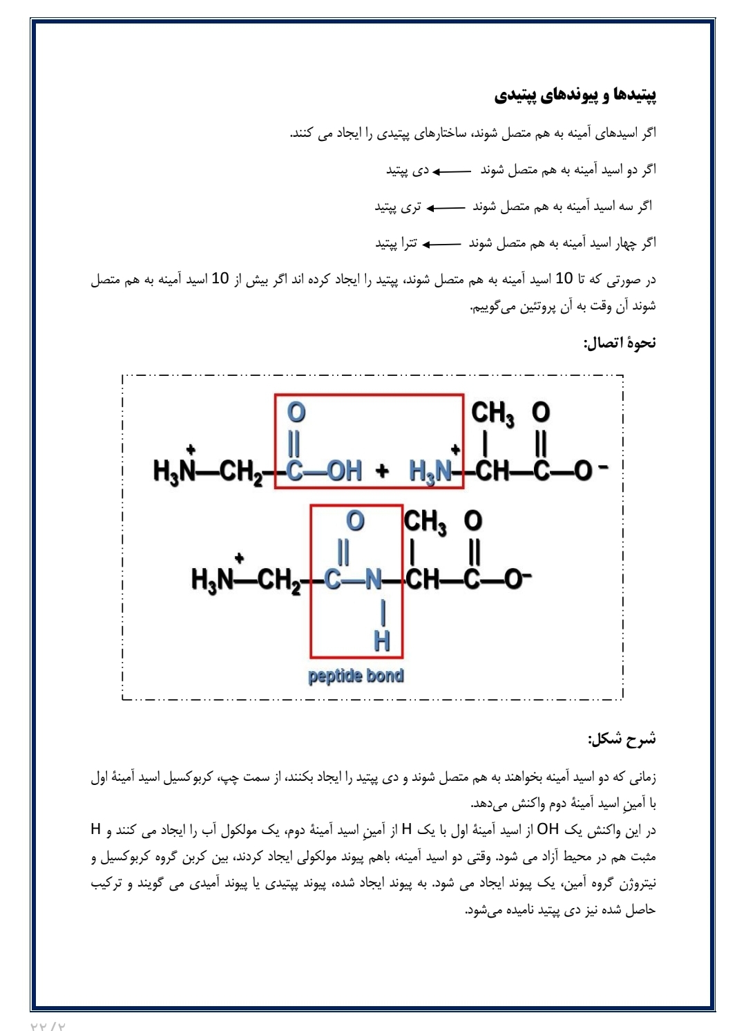 جزوه بیوشیمی آمینواسیدها