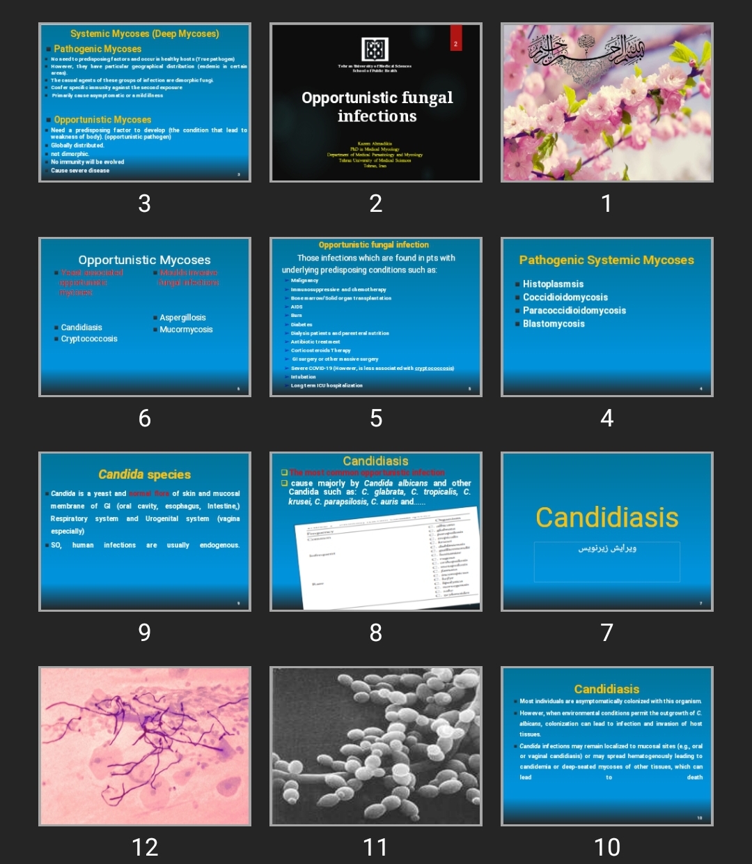 پاورپوینت Opportunistic fungal infections