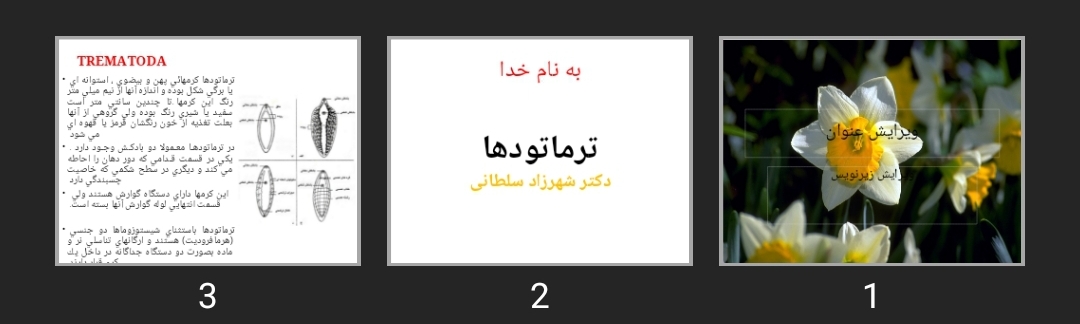 پاورپوینت ترماتودها