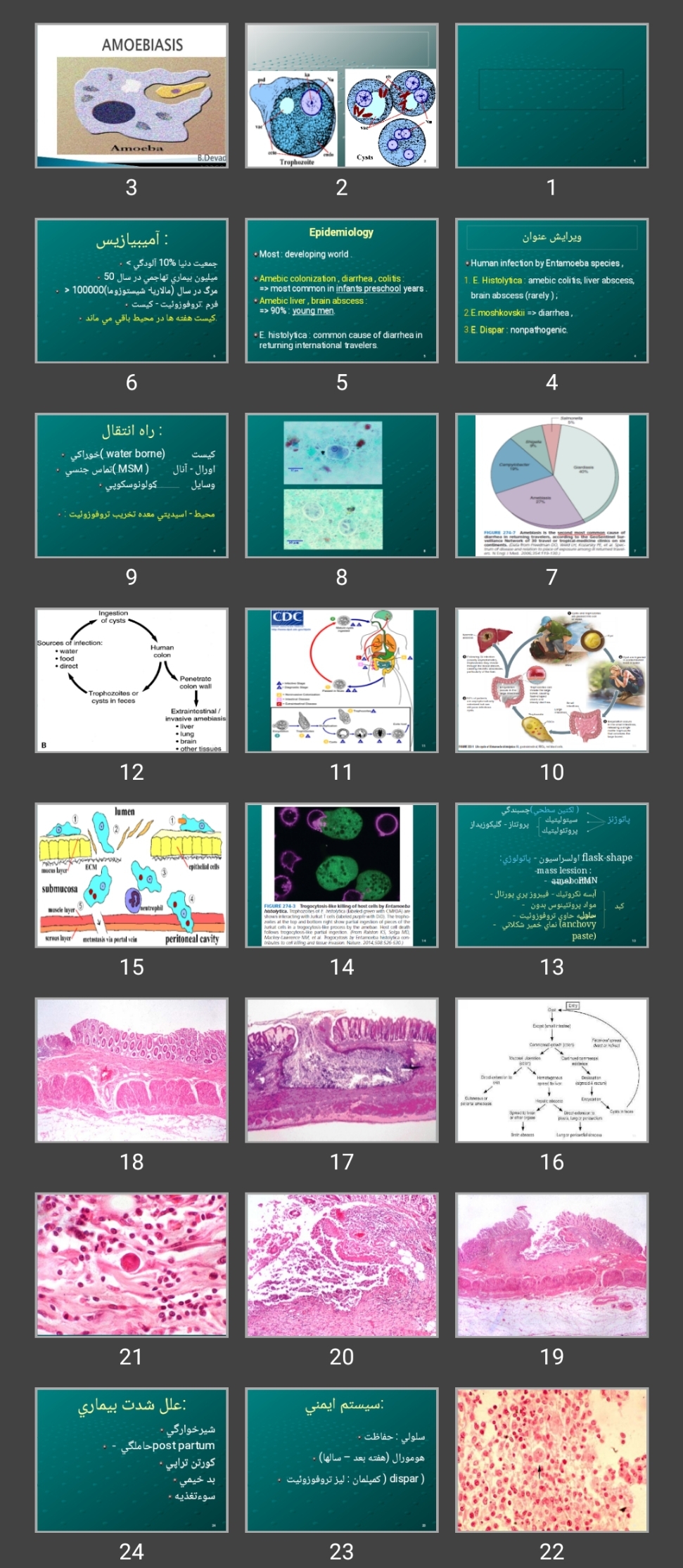 پاورپوینت Gl protozoa