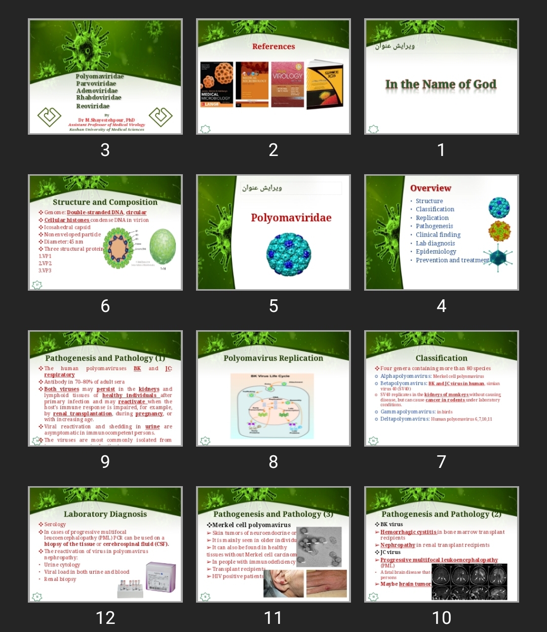 پاورپوینت Rhabdoviridae ، Reoviridae ، Adenoviridae ، Parvoviridae ، Polyomaviridae