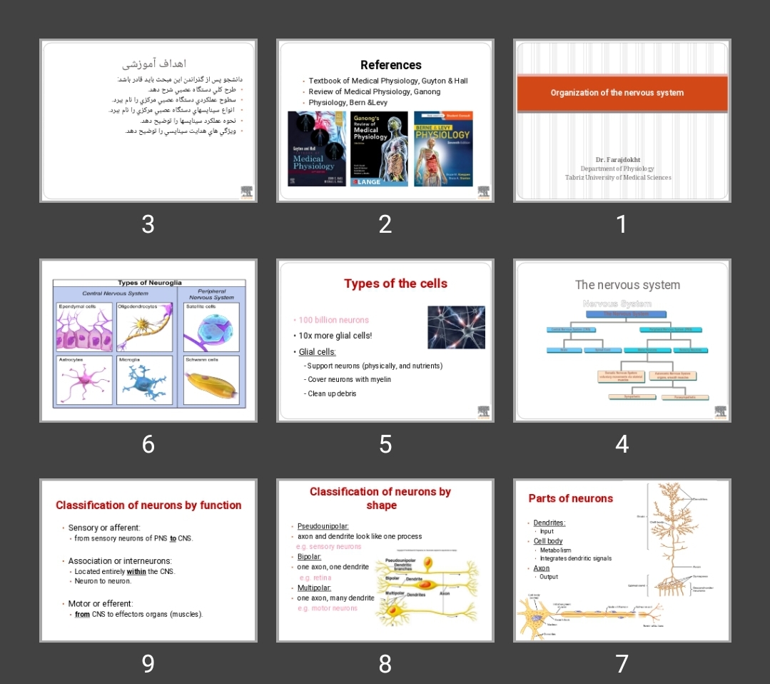 پاورپوینت Organization of the nervous system