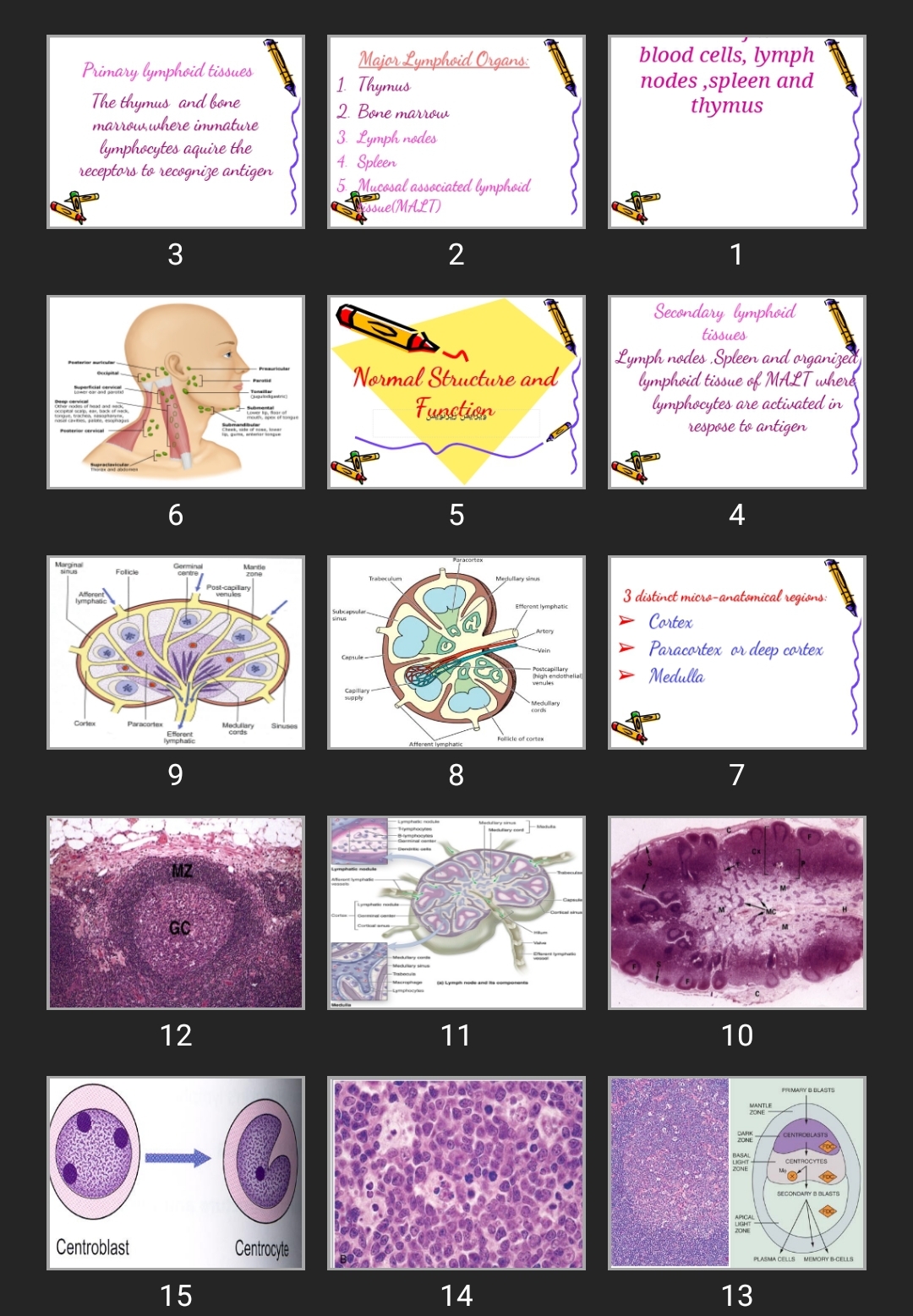 پاورپوینت  Diseases of white blood cells, lymph nodes ,spleen and thymus