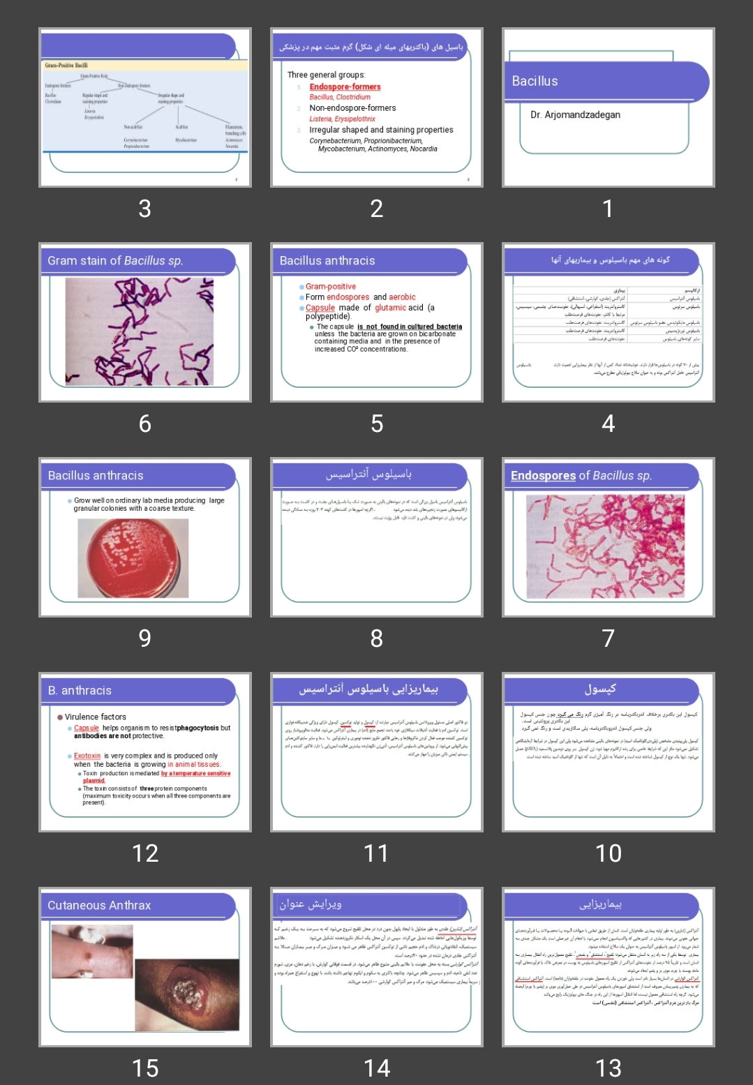 پاورپوینت باسیلوس Bacillus