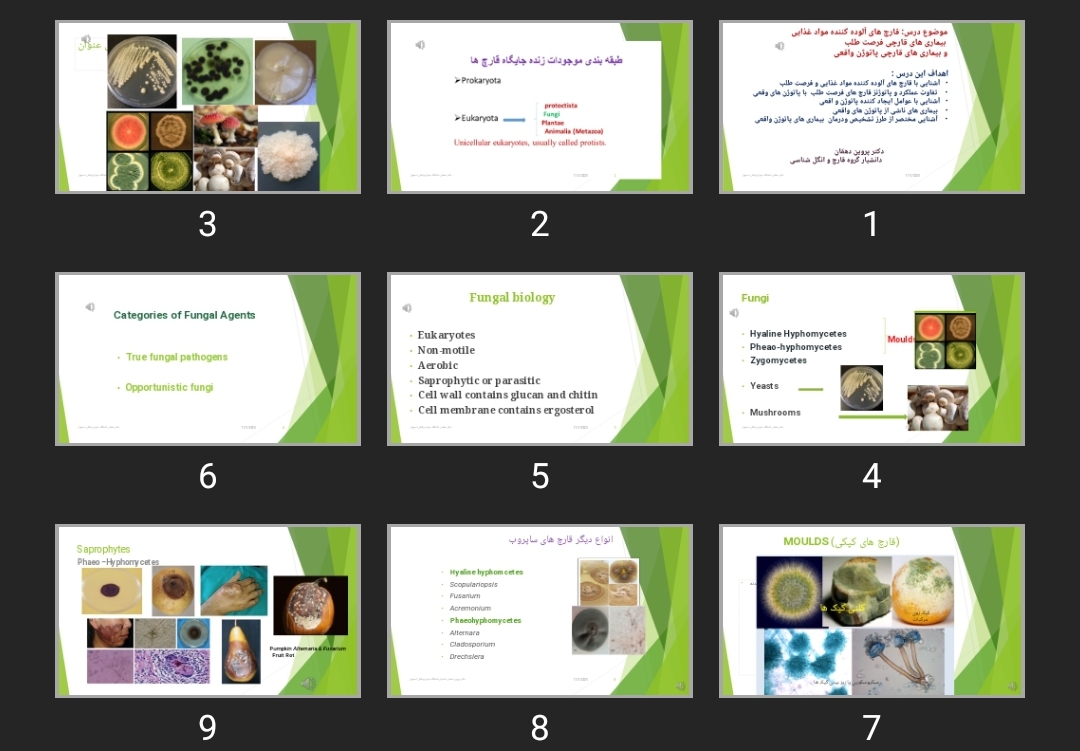 پاورپوینت قارچ های آلوده کننده مواد غذایی بیماری های قارچی فرصت طلب و بیماری های قارچی پاتوژن واقعی