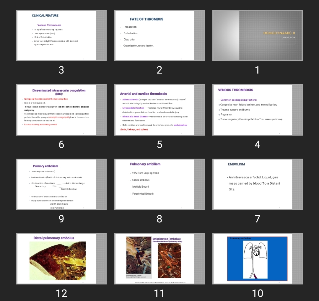 پاورپوینت Hemodynamic II