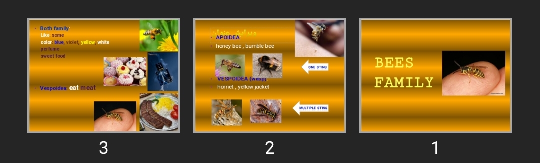 پاورپوینت BEES FAMILY