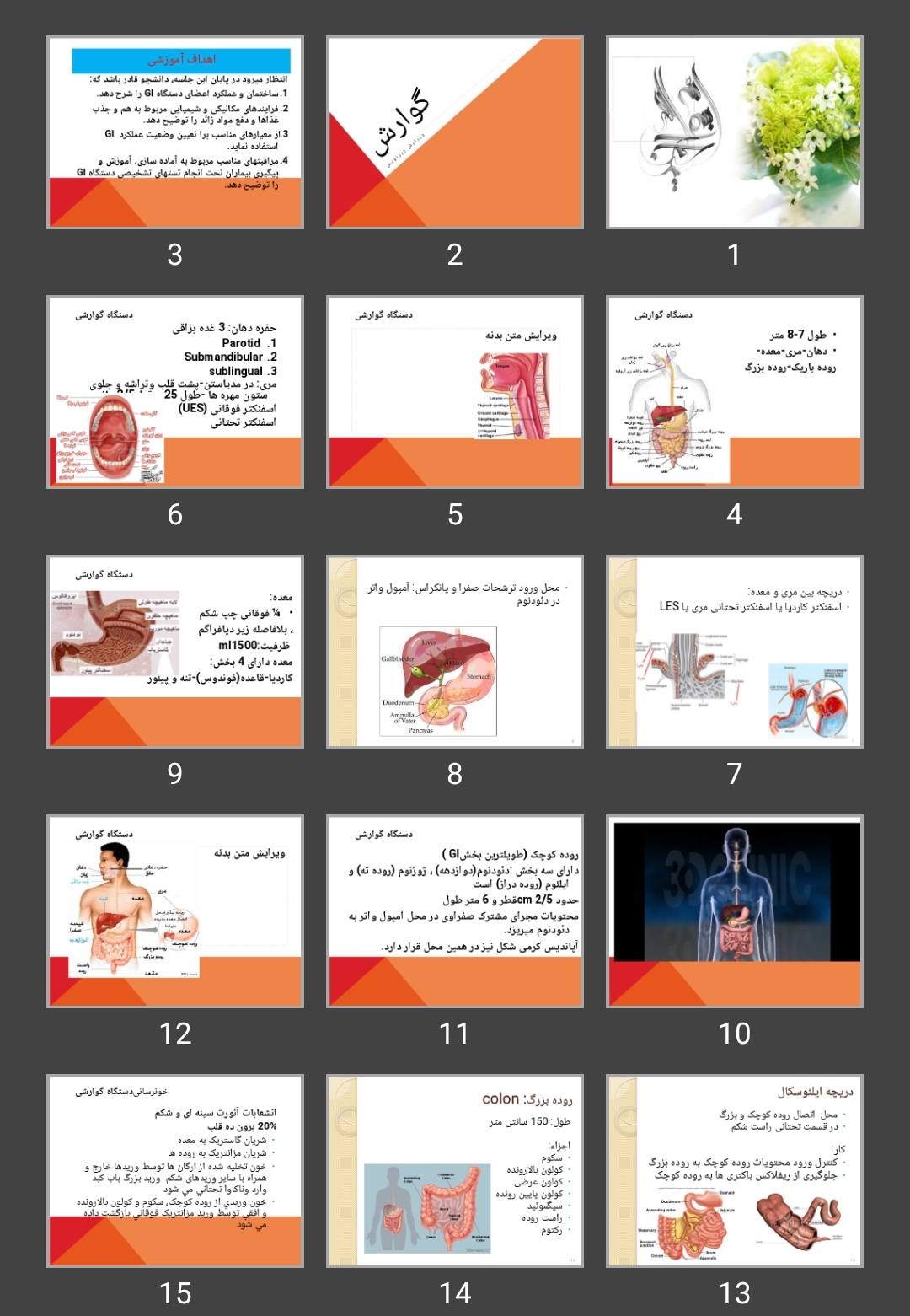 پاورپوینت گوارش