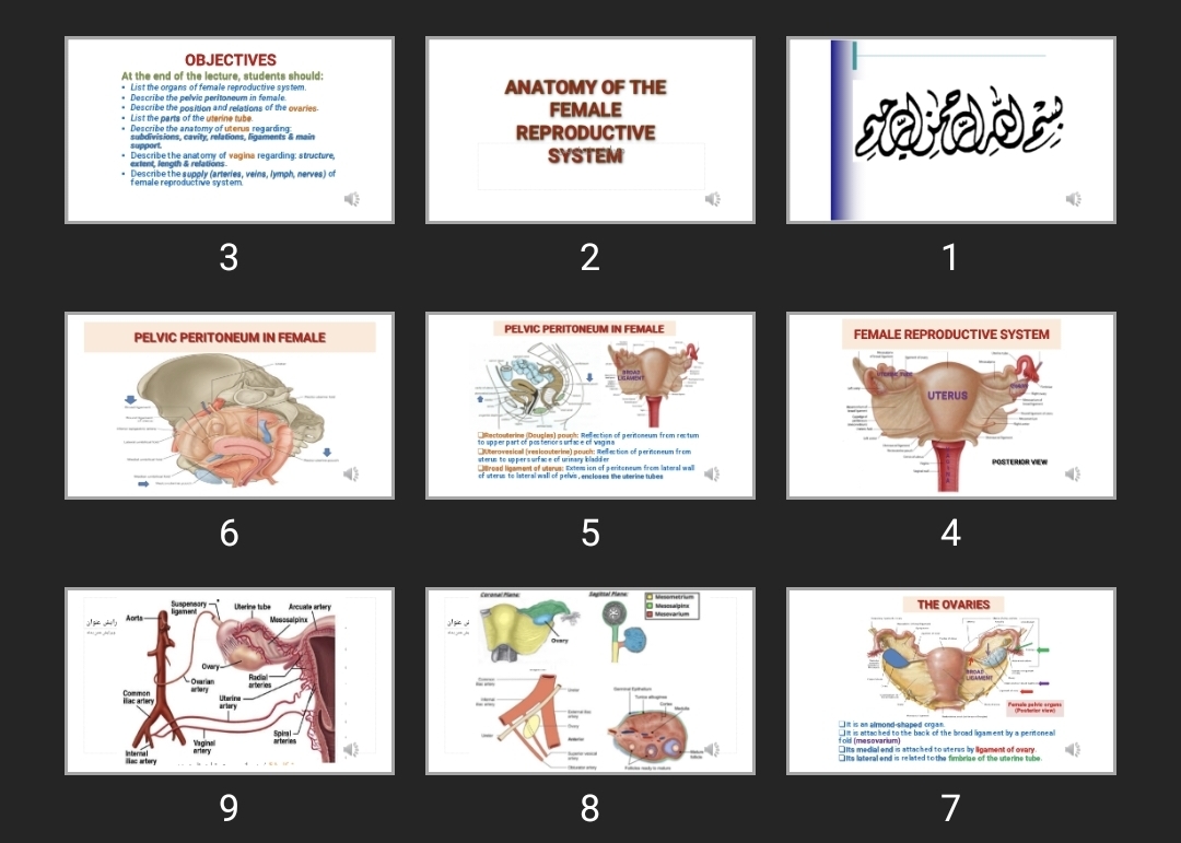 پاورپوینت ANATOMY OF THE FEMALE REPRODUCTIVE SYSTEM