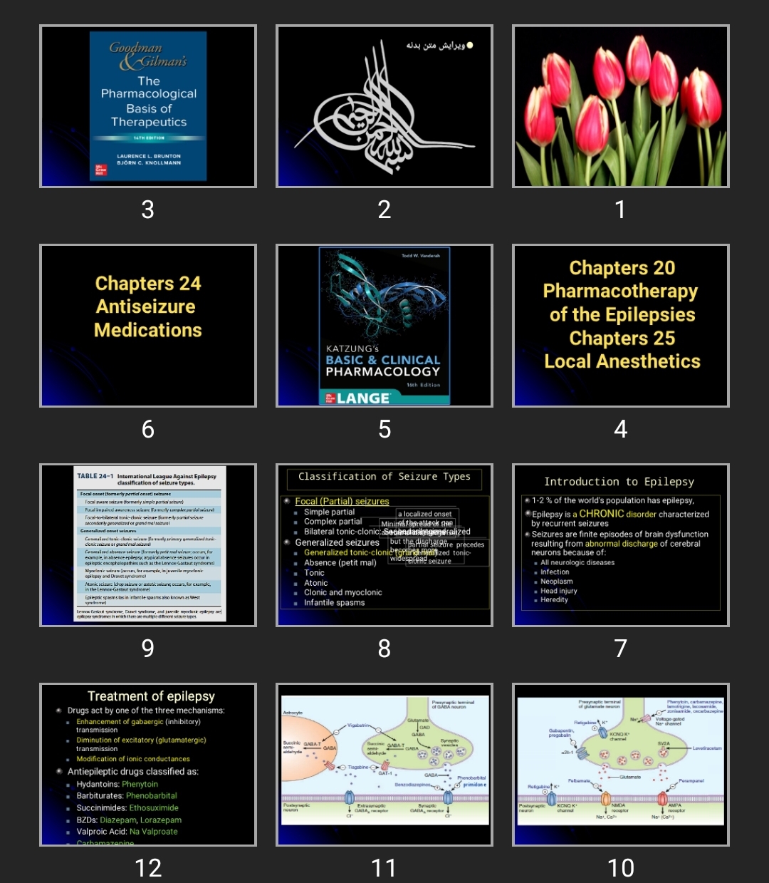 پاورپوینت Chapters 20 Pharmacotherapy of the Epilepsies Chapters 25 Local Anesthetics