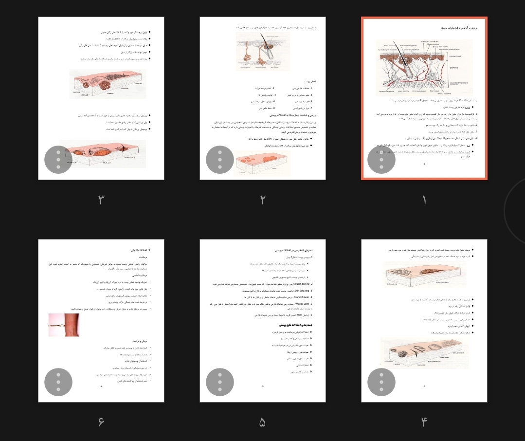 جزوه آناتومی و فیزیولوژی پوست