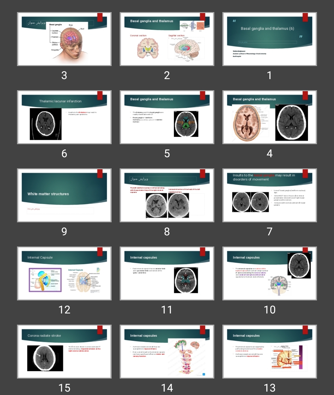 پاورپوینت بازال گانگلیا و حفره خلفی Basal ganglia and thalamus